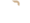 Logo Branca Di Biasi